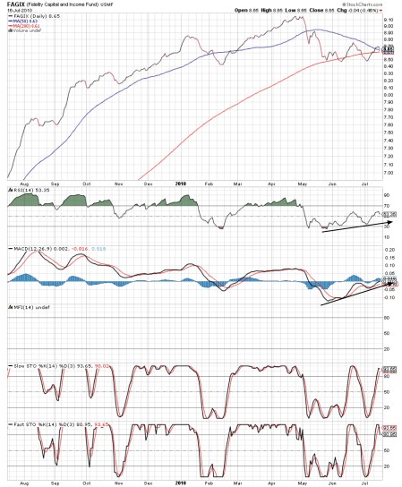 fagix-1-yr-20100716pdf