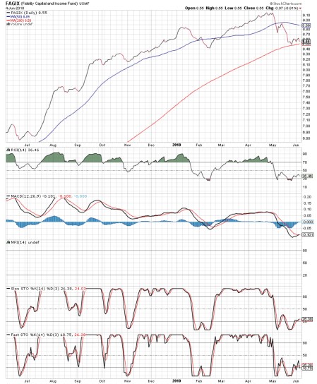 fagixindicators20100604pdf