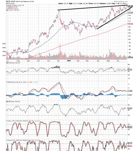 gld1yearwithindicators20100625pdf