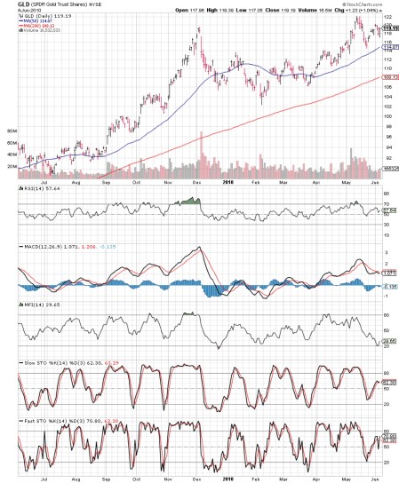 gldindicators20100604pdf