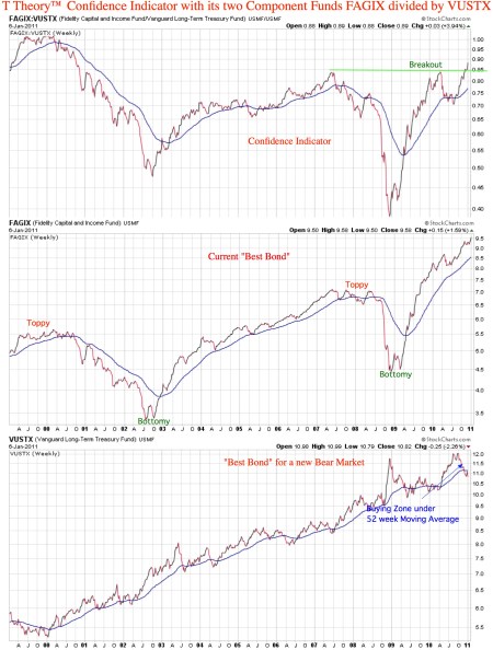 t-theory-confidence-indicator20110107pdf